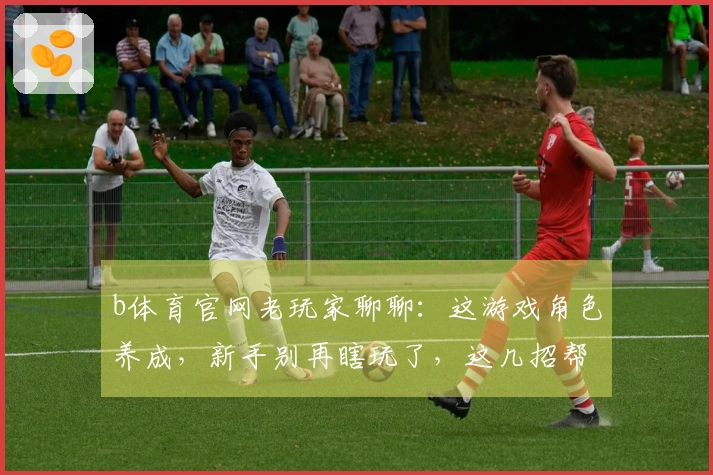 b体育官网老玩家聊聊：这游戏角色养成，新手别再瞎玩了，这几招帮你少走弯路！